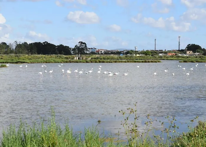 Coração da Vila